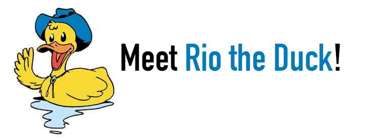 Meet Rio the Duck